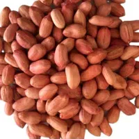 بادام زمینی