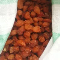 آلو بخارا