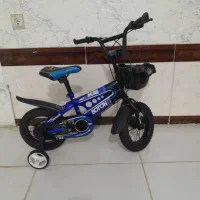 دوچرخه ۱۲حرفه ایی