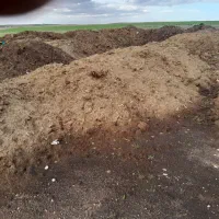 کودحیوانی گوسفند ی گاوی