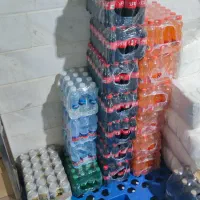 سالنکار خانم، شیفت شب