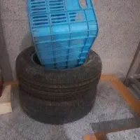 لاستیک بارز