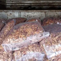 برگه زردالو قیسی درهم|خوردنی و آشامیدنی|ایجرود, |دیوار