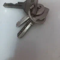 گم کردن دسته کلید