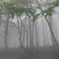 زمین تجاری خیابان بنیاد شهید میبد