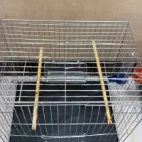 قفس پرند در حدنو|لوازم جانبی حیوانات|فردیس, داوری|دیوار