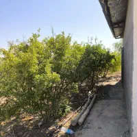 باغچه ۲۵۰۰ متر اندیس