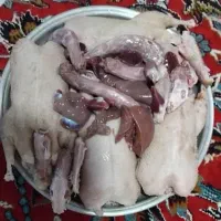 اردک پاک شده وزن مناسب ۳۵۰