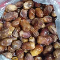قصب (خرمای زاهدی) تازه امسالی|خوردنی و آشامیدنی|شیراز, شهرک قمشه|دیوار