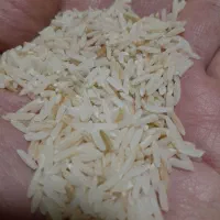 ۲تن برنج طارم دم سیاه