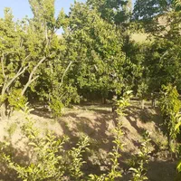 ۶۵۰ متر باغ سند دار جاده طالقان ابراهیم اباد|فروش زمین و ملک کلنگی|طالقان, |دیوار