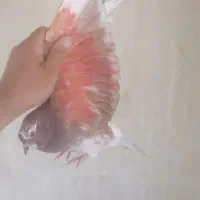 سرخ پرشی