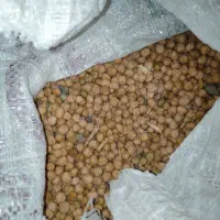 نخود|خوردنی و آشامیدنی|قم, قلعه کامکار|دیوار