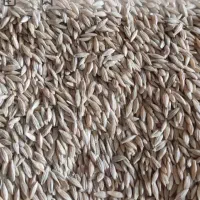 ۲۵۰کیلوجودیم