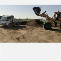 کودخشک پوسیده چند ساله بدون واسطه از گاوداری