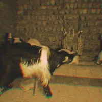 دوتابیگ نروتیشترنربعده