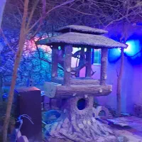 رهن-واجاره-خانه-باغ