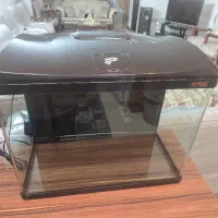 آکواریم