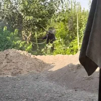 باغ ویلاکامل ونصفه معاوضه باماشین خونه|فروش خانه و ویلا|مشهد, بهار|دیوار