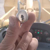 شجر تک درخت