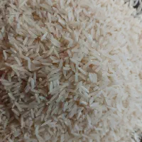 برنج فجر سوزنی درجه یک