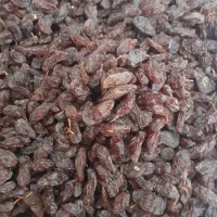 مویز درجه یک|خوردنی و آشامیدنی|شیراز, شهرک گلستان|دیوار