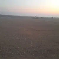 شبانکاره  کرایه زمین برای کشت صیفی