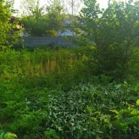 زمین مسکونی واقع در استان گیلان