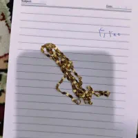 طلا نو|جواهرات|ایلام, |دیوار