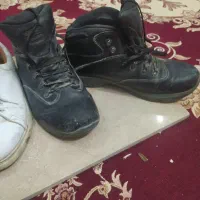 پوتین وکتونی|کیف، کفش، کمربند|زنجان, |دیوار