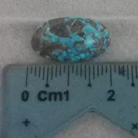 سنگ شجر فیروزه نیشابوری طرح عنکبوتی