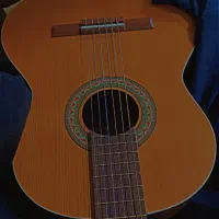 فروش گیتار پارسی m5