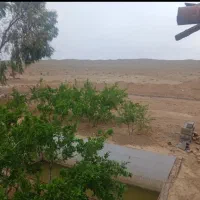 باغ-ویلا