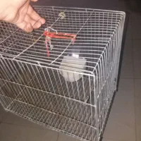 قفس پرنده