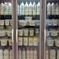 پخش لبنیات محلی