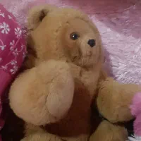 کیف مدارس و عروسک و گیتار|گیتار، بیس، امپلیفایر|بندر انزلی, جفرود پایین|دیوار