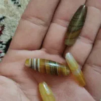 مهره سلیمانی و