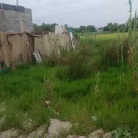 فروش زمین ۷۲ متری در ولکس|فروش زمین و ملک کلنگی|رشت, ولکس|دیوار