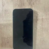 ۱۲پرومکس ۲۵۶