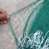 تور ماهی و بلدرچین