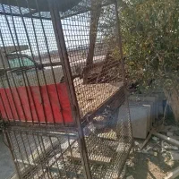 قفس دو طبقه کاملا فلزی سالم|لوازم جانبی حیوانات|قرچک, میرزائی جنوبی|دیوار