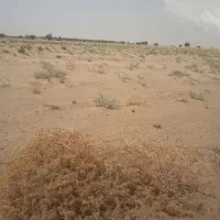 زمین سند تک برگ کشاورزی