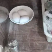 تخم قاز نطفه دار