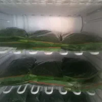 انواع سبزی  ریز شده و آماده .