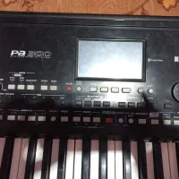 ارگ pa300