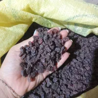 کشمش درجه یک