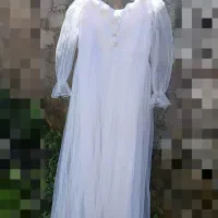 مجلسی سفید و سرخابی