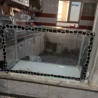 آکواریوم سالم