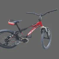 دوچرخه گالانت