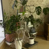 استند گل فلزی 5 طبقه